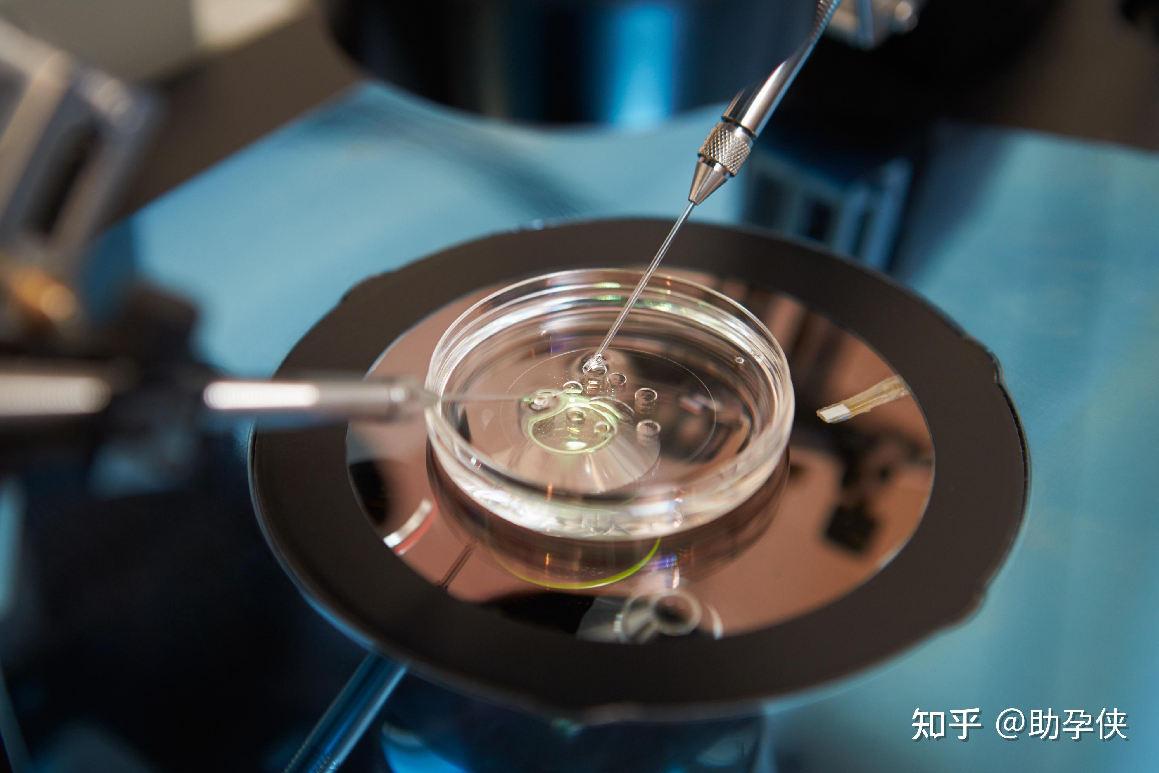 女人顺产双胞胎视频