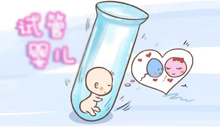 女性月经周期