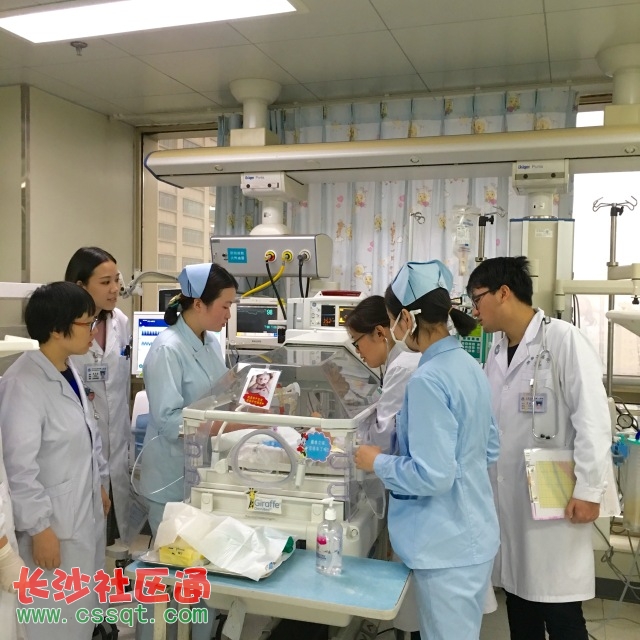 女性月经周期