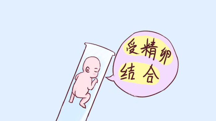 女性月经周期