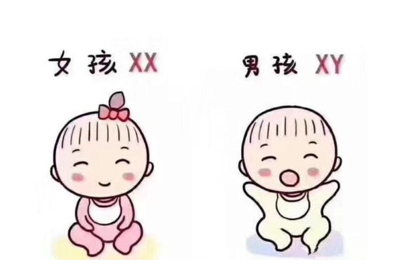 多囊卵巢综合征