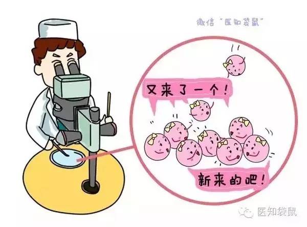 女性月经期