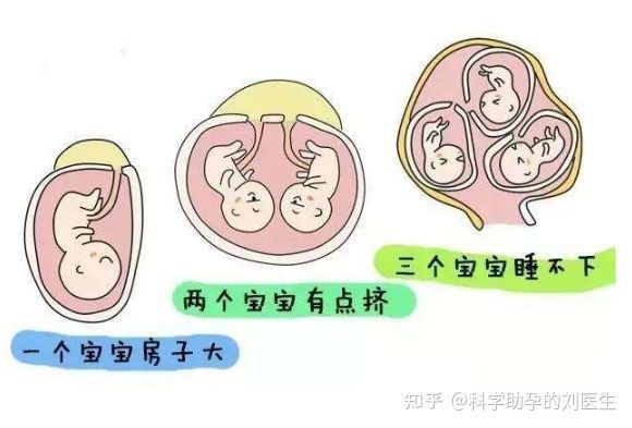 女性最佳受孕期