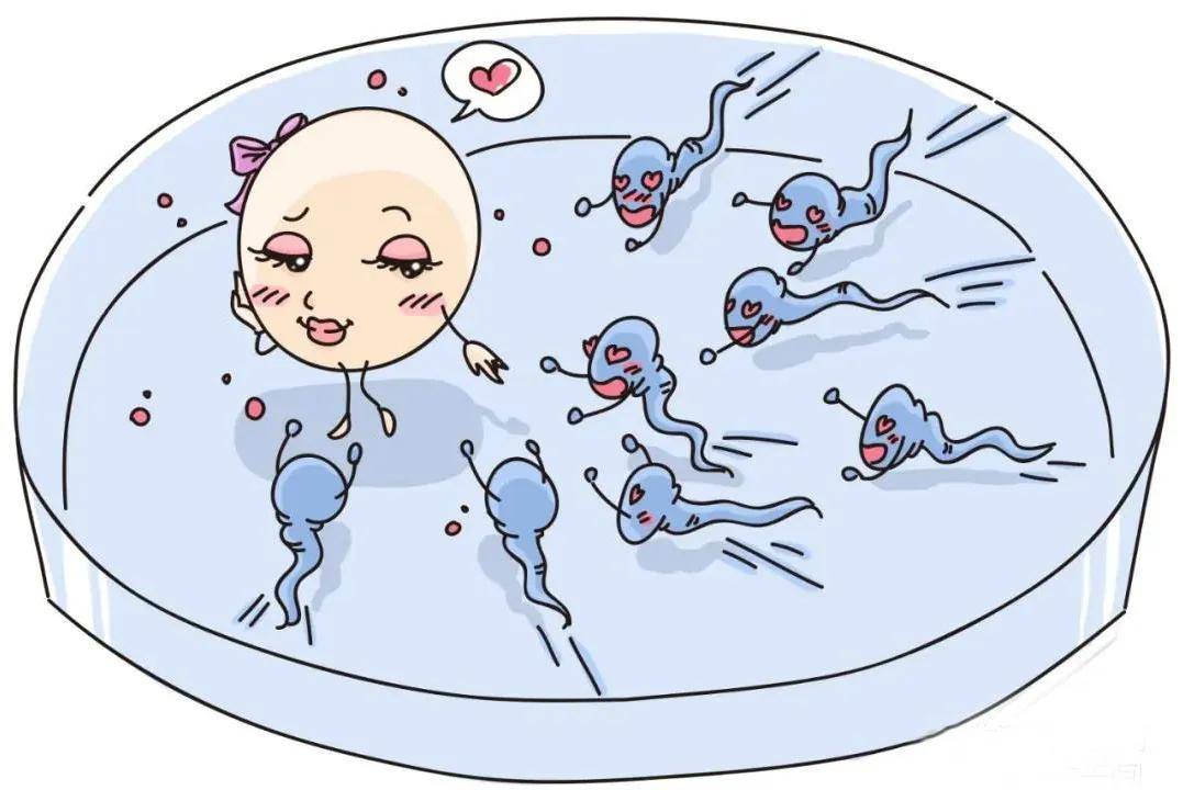 女性顺产