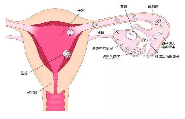 沟通